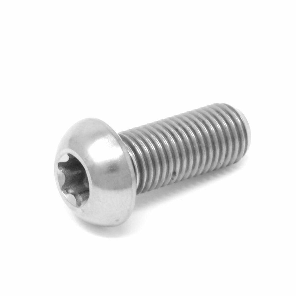 Lav rund hovedskrue med torx M6x30mm, AISI 304