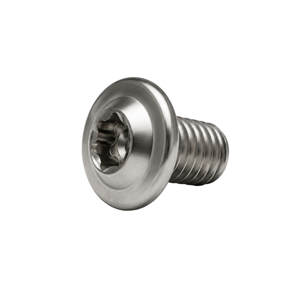 Lav rund hovedskrue med torx M6x10mm, AISI 304